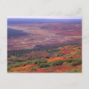 NA, VS, Alaska, Denali NP, Uitzicht op McKinley Briefkaart