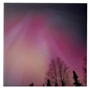 NA, VS, Alaska, Fairbanks. Gordijnen van paars, 2 Tegeltje