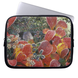 NA, VS, Alaska. Nationaal park Denali. Berendruif Laptop Sleeve