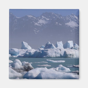 NA, VS, Alaska, St. Elias-gebergte, Alsek-rivier, Magneet