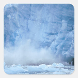 NA, VS, Alaska, Zuidoost-Alaska, Tracy Arm, Vierkante Sticker