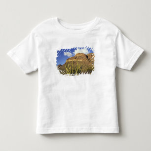 NA, VS, Arizona. Organische pijpleiding Cactus Nat Kinder Shirts