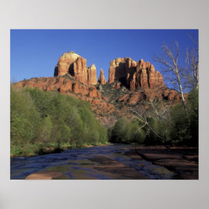 NA, VS, Arizona, Sedona. Cathedral Rock en Oak Poster