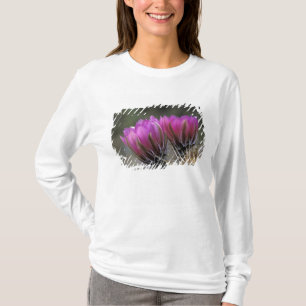 NA, VS, Arizona, Sonorawoestijn. Egel T-shirt