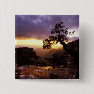 NA, VS, Arizona, Tucson, Zonsondergang en alleen Vierkante Button 5,1 Cm