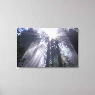 NA, VS, Californië. Deelstaat voor de noordkust 2 Canvas Afdruk