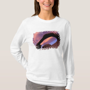 NA, VS, Californië, Eastern Sierra, Alabama T-shirt