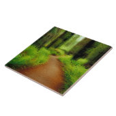 NA, VS, Californië, Jedediah Smith Redwood Tegeltje (Zijkant)