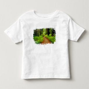 NA, VS, Californië, Jedediah Smith Redwoods Kinder Shirts