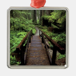 NA, VS, Californië, Jedidiah Smith Redwood Metalen Ornament