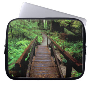 NA, VS, Californië, Jedidiah Smith Redwoods Laptop Sleeve