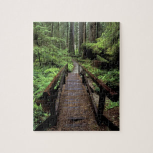 NA, VS, Californië, Jedidiah Smith Redwoods Legpuzzel