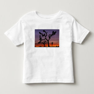NA, VS, Californië. Joshua Tree National Kinder Shirts