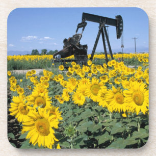 Na, VS, Colorado, Zonnebloemen, Olieboortoren Bier Onderzetter