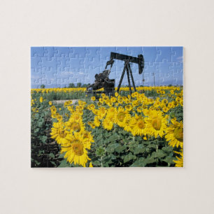 Na, VS, Colorado, Zonnebloemen, Olieboortoren Legpuzzel