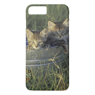NA, VS, Florida, landelijk Florida. Acht weken oud iPhone 8 Plus / 7 Plus Hoesje