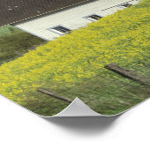 NA, VS, Idaho, ten zuiden van Genesse, Canola fiel Poster (Hoek)