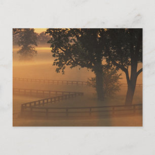 NA, VS, Kentucky. Foggy sunrise op Kentucky Briefkaart