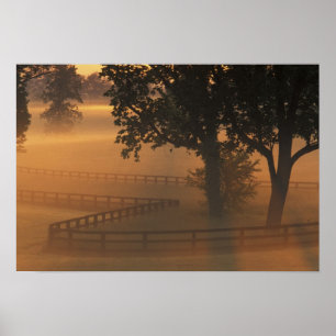 NA, VS, Kentucky. Nevelige zonsopgang in Kentucky Poster