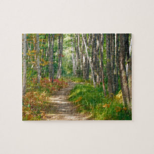NA, VS, Maine. Jessup trail in Acadia National Legpuzzel