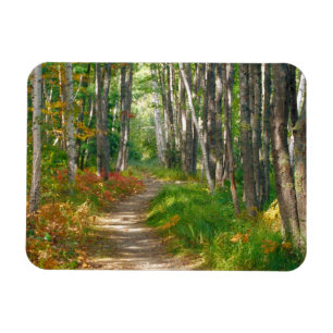 NA, VS, Maine.  Jessup trail in Acadia National Magneet
