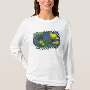 NA, VS, Michigan, Rochester Hills. Moeras T-shirt