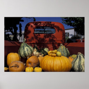 NA, VS, New Mexico, Taos. Chili stand. Poster