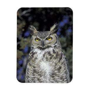 NA, VS, New Mexico, Wildlife West Nature Park Magneet