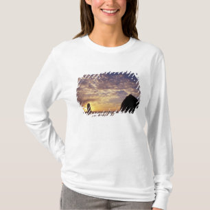 NA, VS, Oregon, Oregon kust, Canon Beach met T-shirt