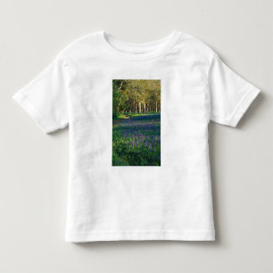 NA, VS, Oregon, Salem. Veld van camas en 3 Kinder Shirts