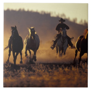 NA, VS, Oregon, Seneca, Ponderosa Ranch, Cowboy 2 Tegeltje
