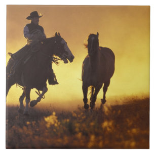NA, VS, Oregon, Seneca, Ponderosa Ranch, Cowboy 3 Tegeltje