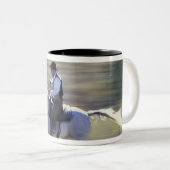 NA, VS, Oregon, Seneca, Ponderosa Ranch, Cowboy Tweekleurige Koffiemok (Voorkant rechts)