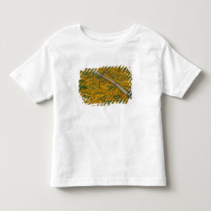 NA, VS, Oregon. Watersysteem in veld van Kinder Shirts