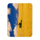 NA, VS, staat Washington, regio Palouse, Magneet (Verticaal)