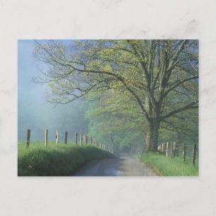 NA, VS, Tennessee, Cades Cove, Great Smoky Briefkaart