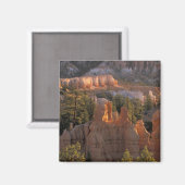 NA, VS, Utah, Bryce Canyon NP 2 Magneet (Voorkant / Achterkant)