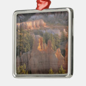 NA, VS, Utah, Bryce Canyon NP 2 Metalen Ornament (Links)