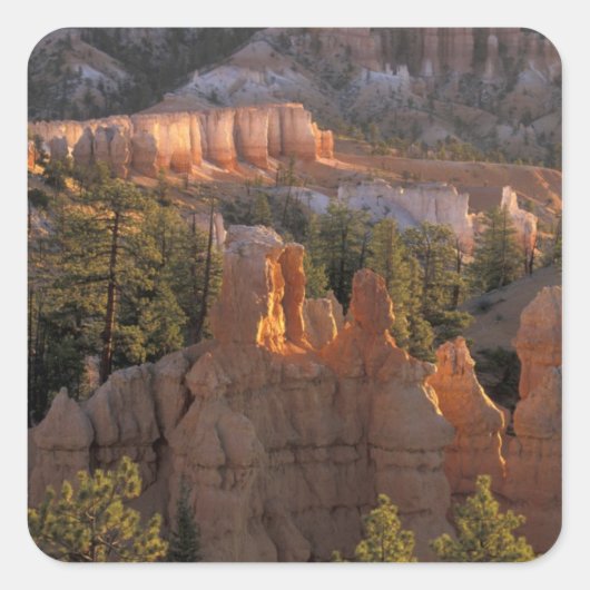 NA, VS, Utah, Bryce Canyon NP 2 Vierkante Sticker (Voorkant)