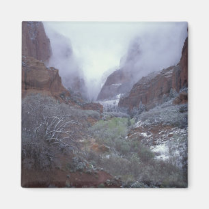 NA, VS, Utah, Zion NP, Lente sneeuwstorm, Magneet