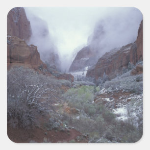 NA, VS, Utah, Zion NP, Lente sneeuwstorm, Vierkante Sticker