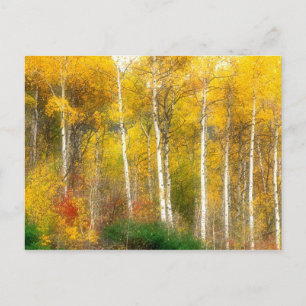 NA, VS, Washington, Herfst Esdoorns langs Briefkaart