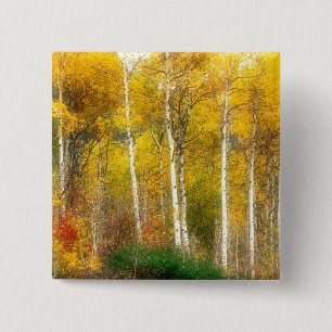 NA, VS, Washington, herfst espenbomen langs Vierkante Button 5,1 Cm