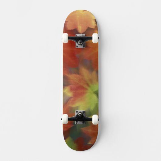 NA, VS, Washington, Issaquah, Vine esple Skateboard (Voorkant)