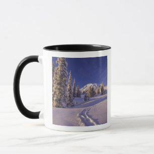NA, VS, Washington, Mt. Rainier NP, Sneeuwschoen Mok