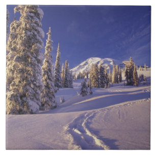 NA, VS, Washington, Mt. Rainier NP, Sneeuwschoen Tegeltje