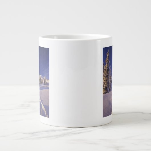 NA, VS, Washington, Mt. Rainier NP, Snowshoe Extra Grote Mok (Voorkant)