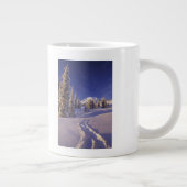 NA, VS, Washington, Mt. Rainier NP, Snowshoe Extra Grote Mok (Rechts)