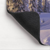 NA, VS, Washington, Mt. Rainier NP, Snowshoe Muismat (Hoek)