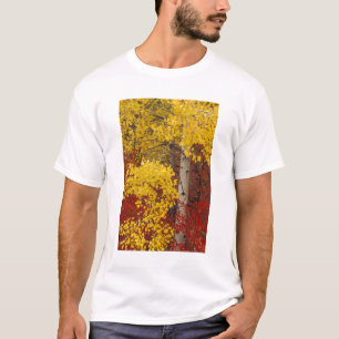 NA, VS, Washington, Wenatchee National Forest. T-shirt